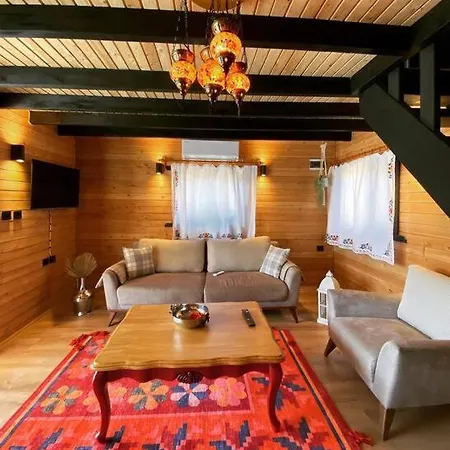فيلة Aslan Denize Yakin Merkeze Yakin فتحية